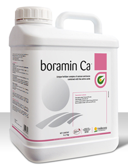 Boramin Ca