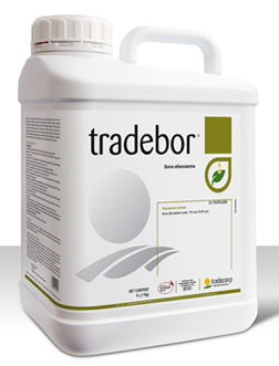Tradebor