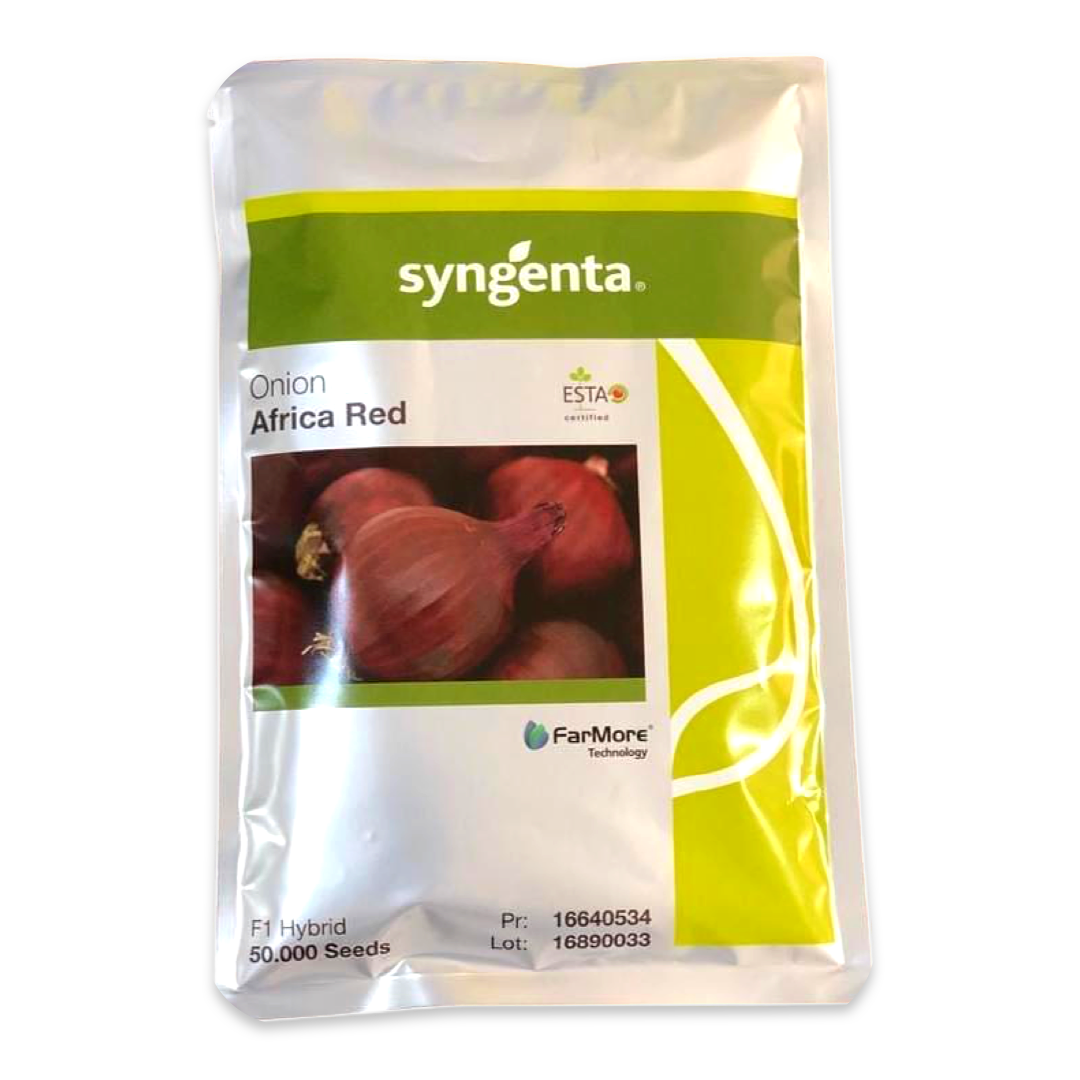 AFRICA RED F1 ONION