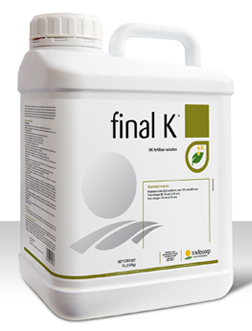 Final K