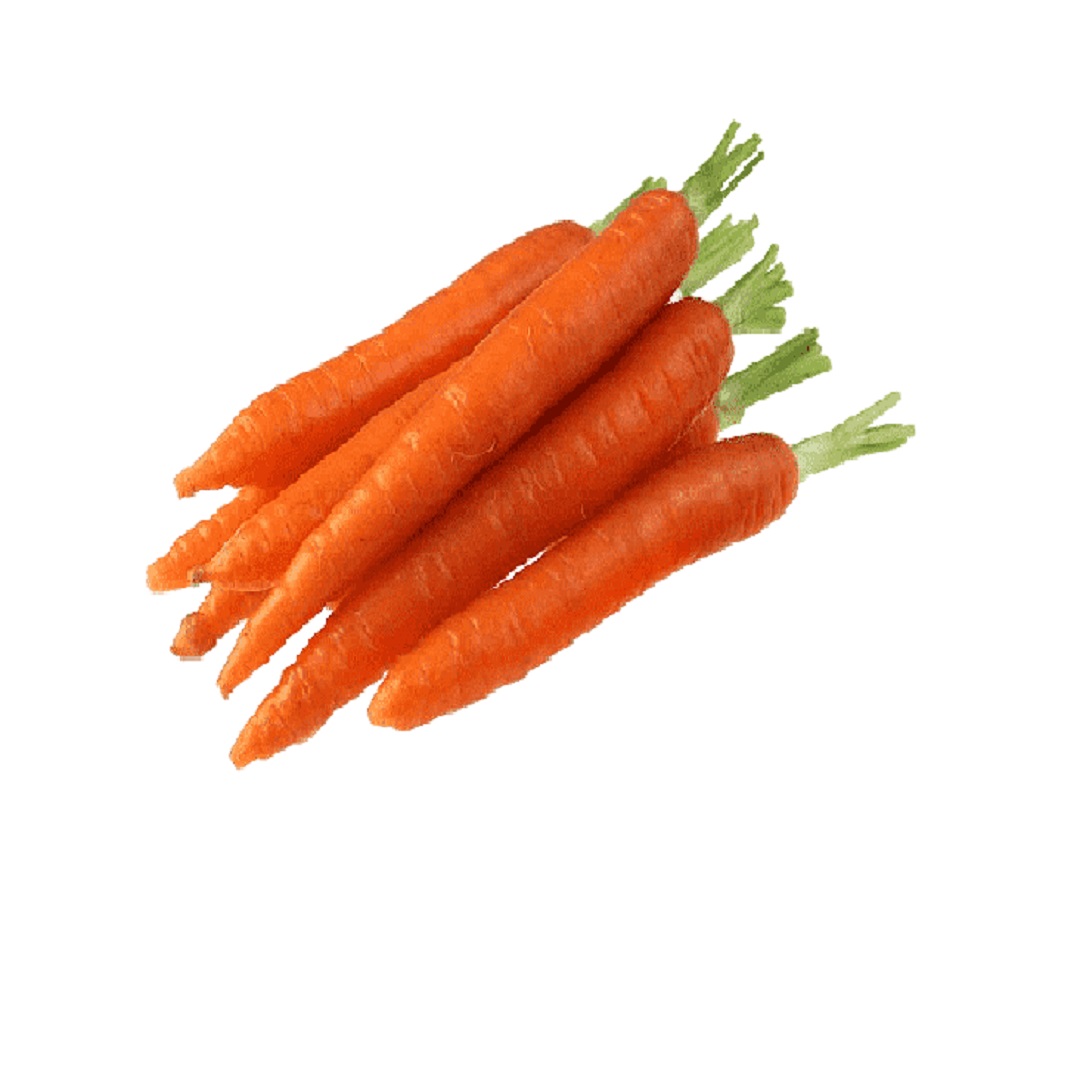 KURODA CARROT