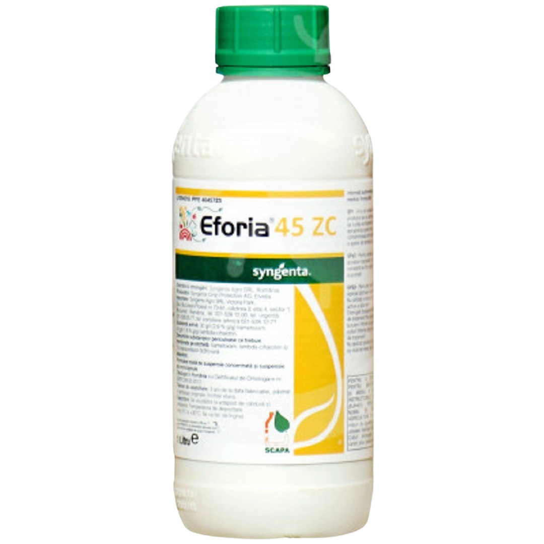 Eforia 45 ZC