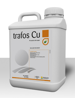 Trafos Cu