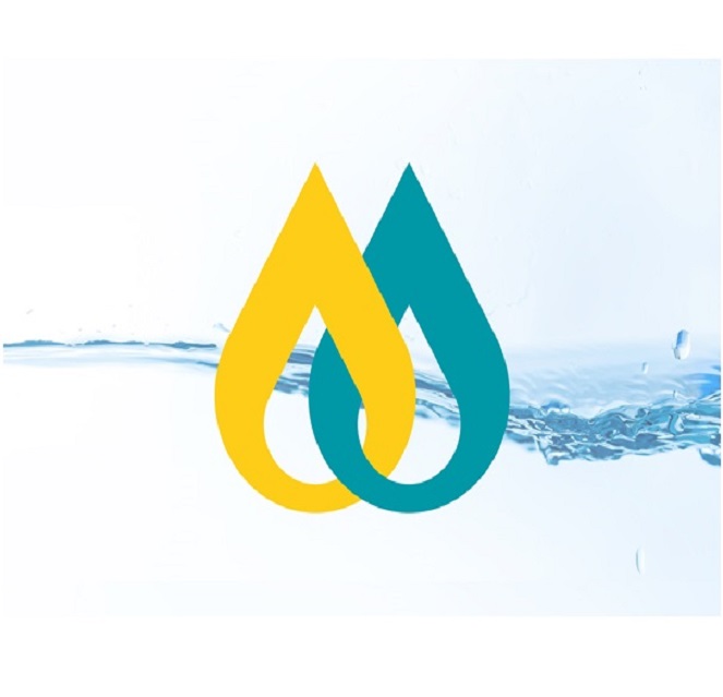 Adjuvants