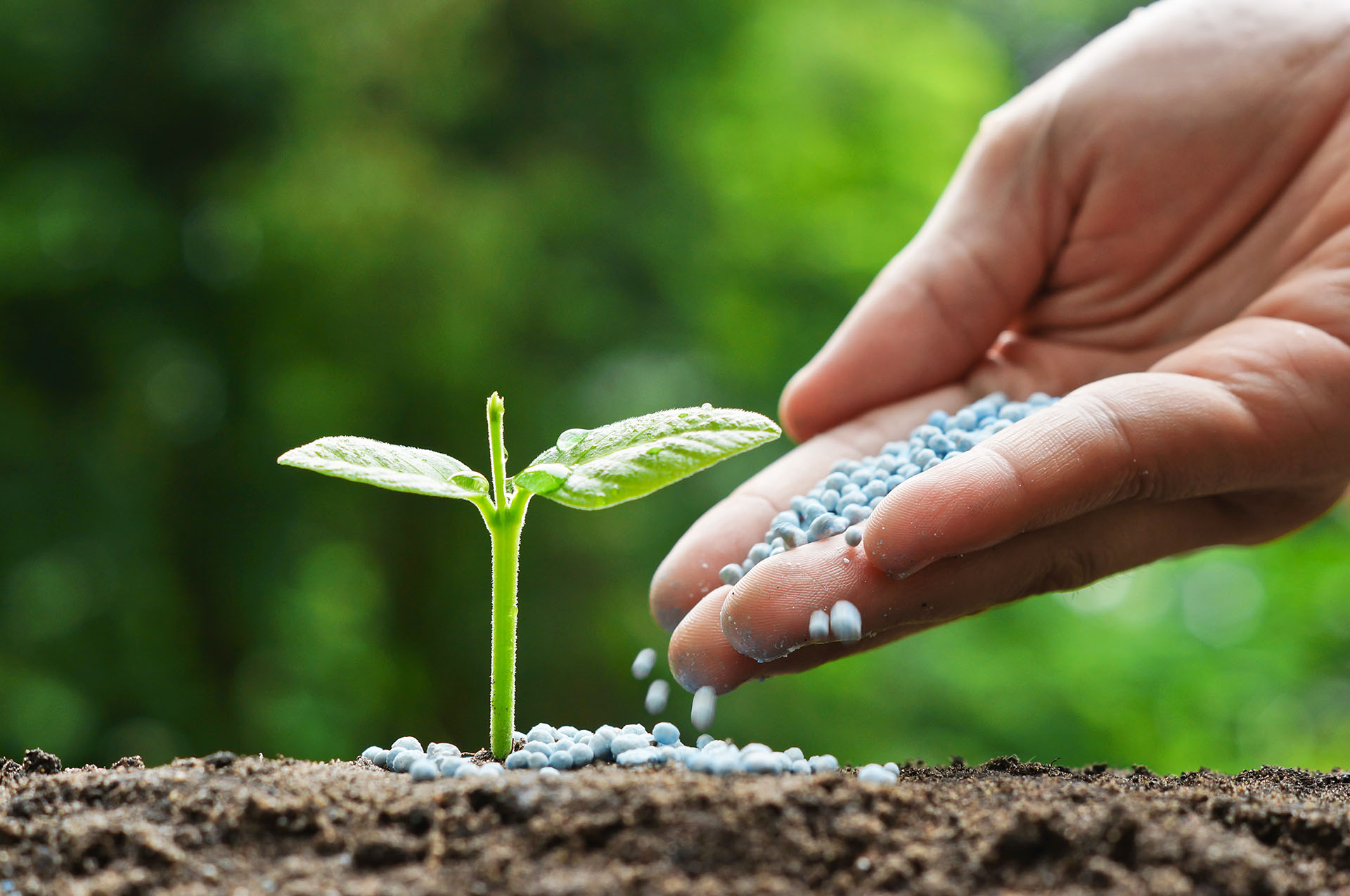  Single Fertilizers