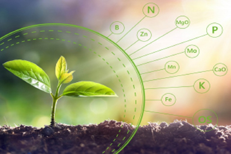 Specialty Fertilizers